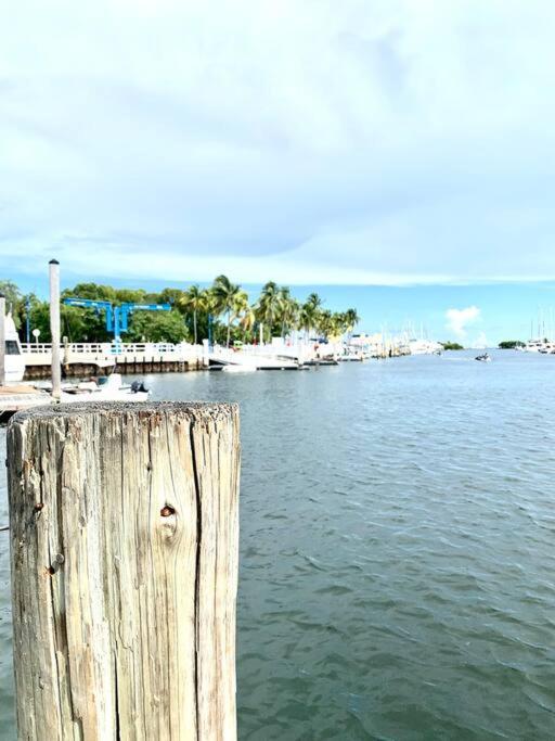 Groveo5 10 Minutes From Miami Beach المظهر الخارجي الصورة